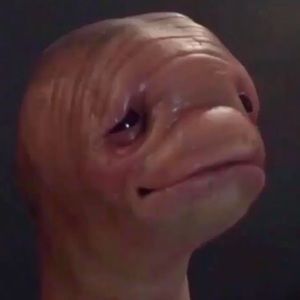 Meet your Posher, Liam